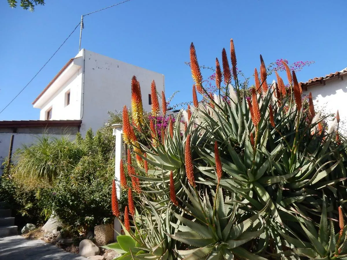 Finca Florida San Miguel de Abona Apartment