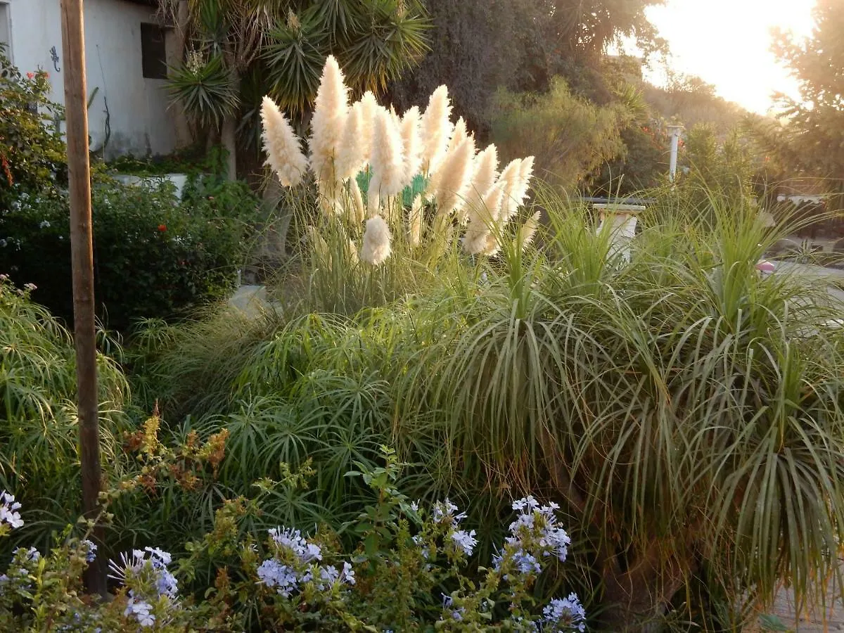 Finca Florida San Miguel de Abona Spanien
