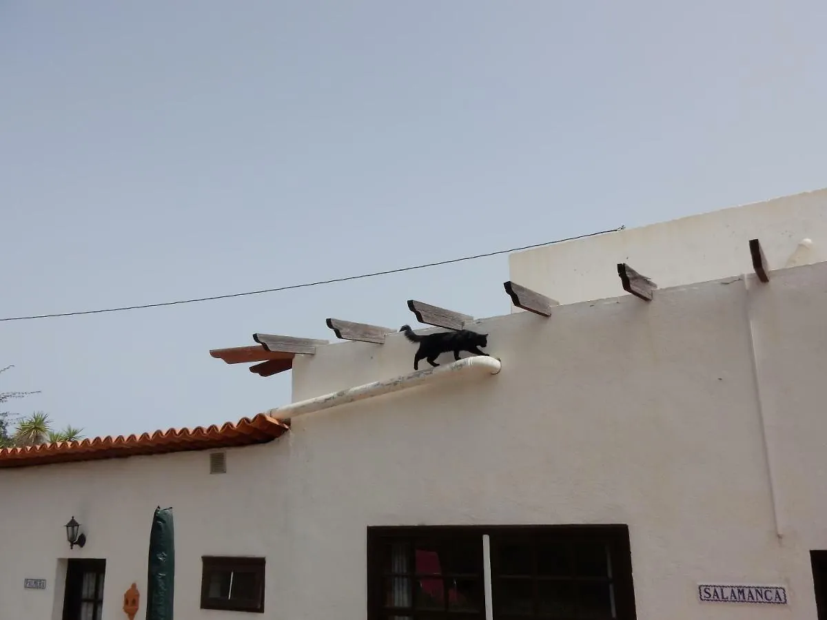 Finca Florida San Miguel de Abona 0*,